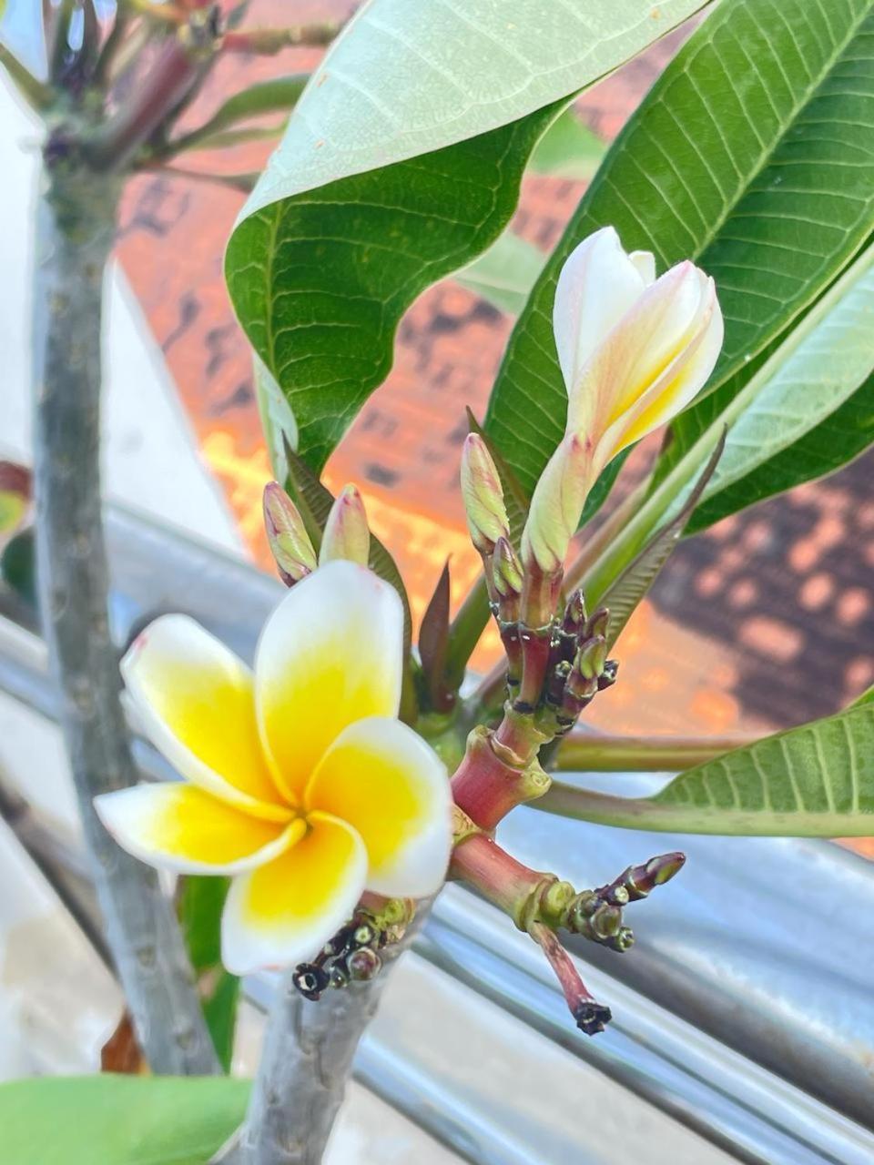 Pho Bien Hotel Nha Trang Eksteriør bilde