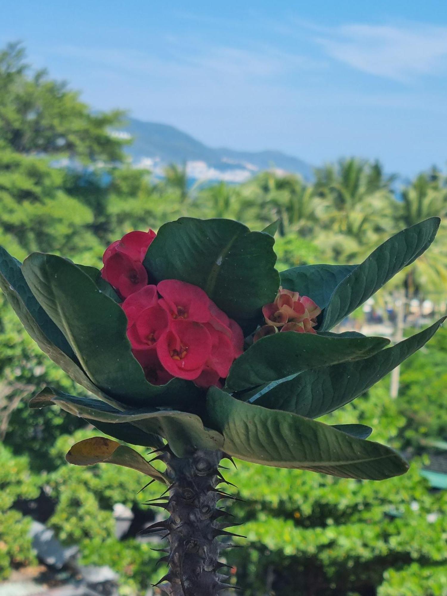 Pho Bien Hotel Nha Trang Eksteriør bilde